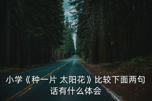 種一片太陽花,種一塊太陽花看完這首詩