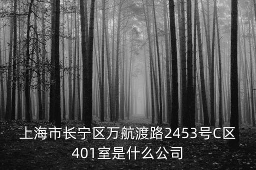 上海市電力公司能源服務公司，上海國能能源集團