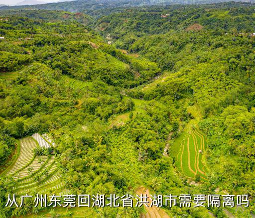 從廣州東莞回湖北省洪湖市需要隔離嗎