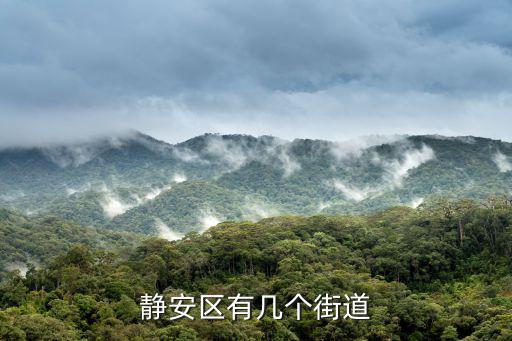 上海市靜安區什么新區街道，上海市靜安區萬榮路屬于哪個街道