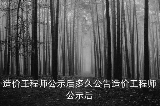 造價工程師公示后多久公告造價工程師公示后