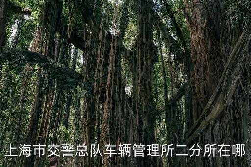上海市交警總隊(duì)車輛管理所二分所在哪