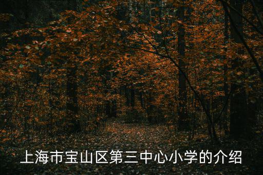 上海市寶山區(qū)第三中心小學(xué)的介紹