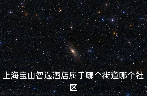 上海市寶山區同濟路339號，上海寶山區最大寶鋼廠在什么位置