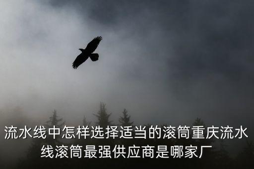 流水線中怎樣選擇適當(dāng)?shù)臐L筒重慶流水線滾筒最強供應(yīng)商是哪家廠