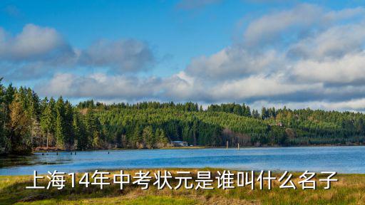 上海市三學狀元，請問今年上海市中考狀元是誰