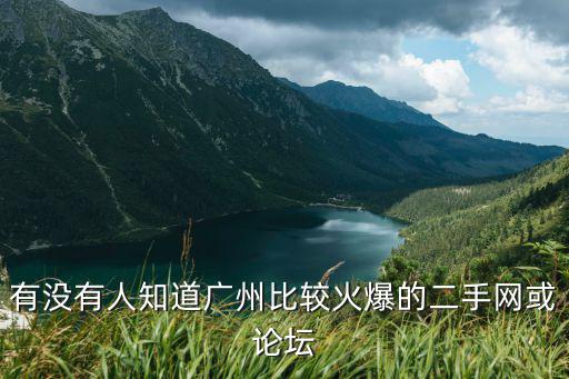 有沒有人知道廣州比較火爆的二手網或論壇