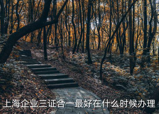 上海企業三證合一最好在什么時候辦理