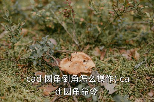  cad 圓角倒角怎么操作( cad 圓角命令