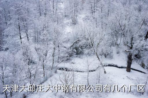 天津大邱莊大中鋼有限公司有幾個廠區