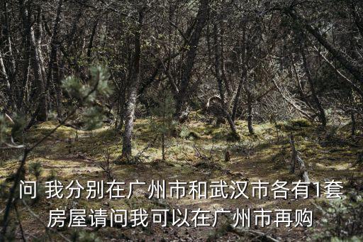 問 我分別在廣州市和武漢市各有1套房屋請問我可以在廣州市再購