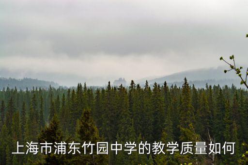 上海市浦東新區竹園小學招生簡章，上海市浦東竹園中學的教學質量如何