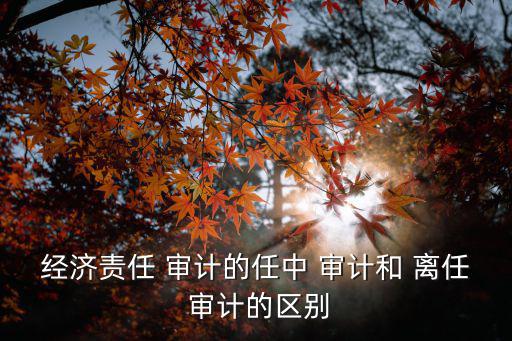 經濟責任 審計的任中 審計和 離任 審計的區別