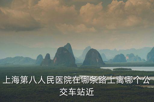 上海第八人民醫(yī)院在哪條路上離哪個(gè)公交車站近