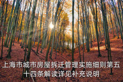 上海市城市房屋拆遷管理實施細則第五十四條解讀詳見補充說明