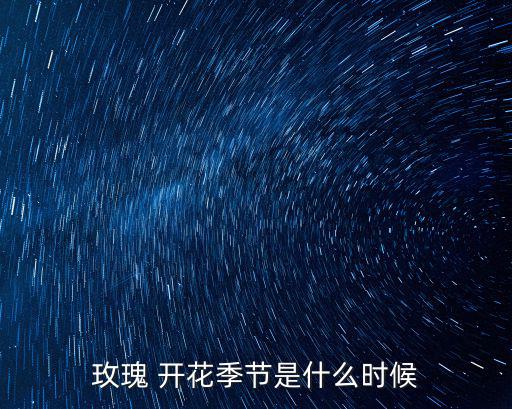 玫瑰什么季節開花，玫瑰在什么時候開花