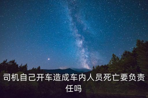 自己開車，自己開車造成交通事故
