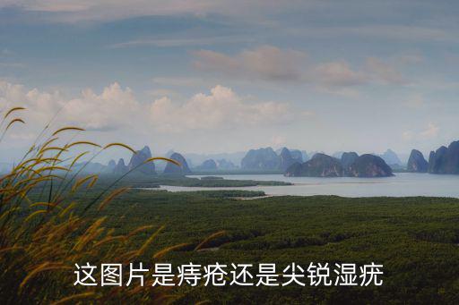這圖片是痔瘡還是尖銳濕疣