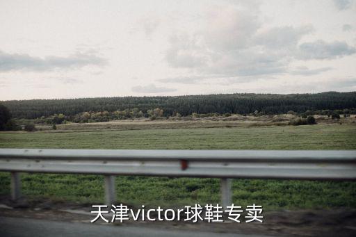 天津victor球鞋專賣