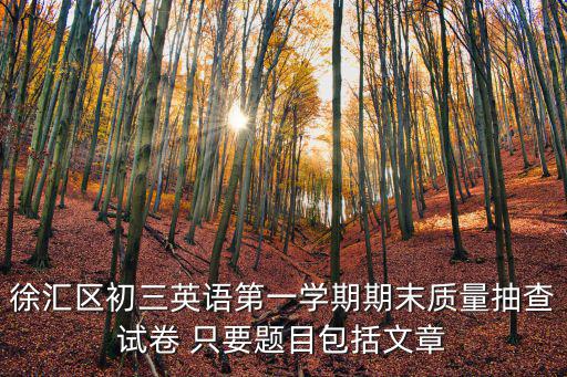 徐匯區初三英語第一學期期末質量抽查試卷 只要題目包括文章