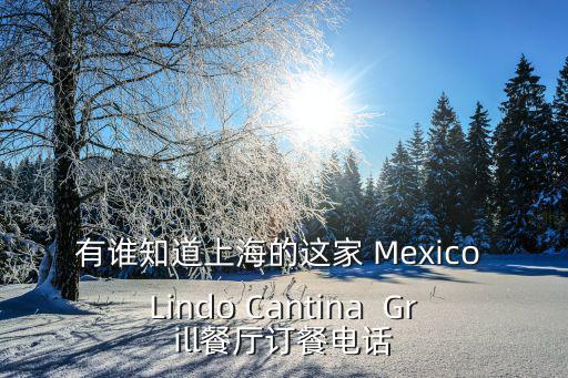 有誰知道上海的這家 Mexico Lindo Cantina  Grill餐廳訂餐電話