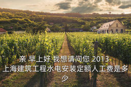 親 早上好 我想請問您 2013 上海建筑工程水電安裝定額人工費是多少
