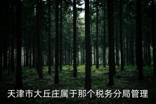 天津市靜海分局大邱莊大隊，天津大邱莊歸哪個車管所管
