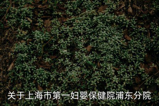 關于上海市第一婦嬰保健院浦東分院