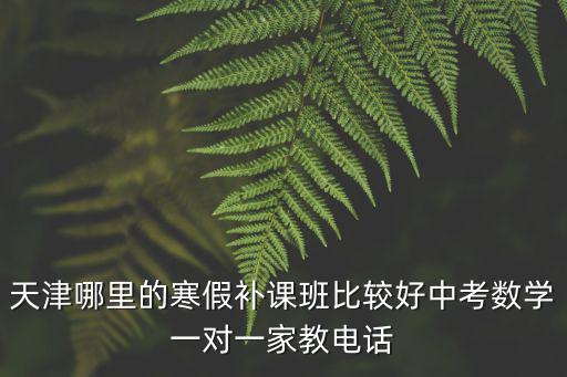 天津哪里的寒假補課班比較好中考數學一對一家教電話