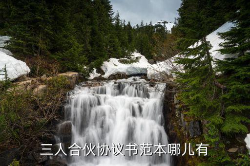三人合伙協議書范本哪兒有
