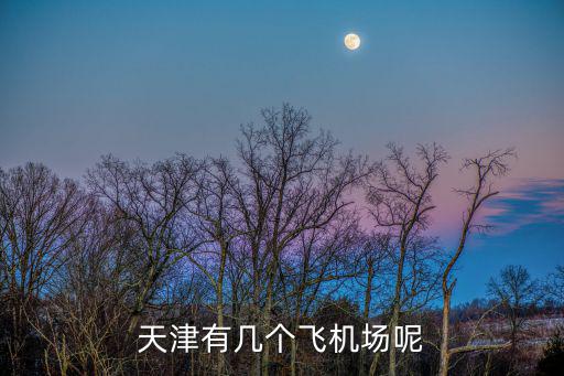 天津有幾個飛機場呢