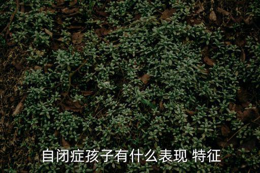 自閉癥兒童的行為特征有哪些,自閉孩子的成長歷程
