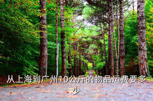 從上海到廣州10公斤的物品運費要多少