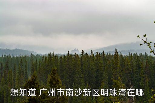 想知道 廣州市南沙新區明珠灣在哪