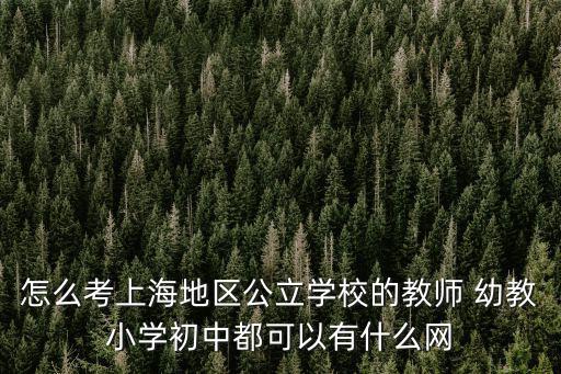 怎么考上海地區公立學校的教師 幼教小學初中都可以有什么網