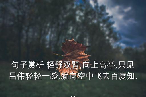 輕舒,第二集:舒眉探索之旅