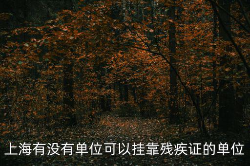 上海有沒有單位可以掛靠殘疾證的單位