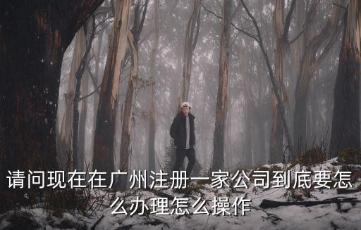 請問現在在廣州注冊一家公司到底要怎么辦理怎么操作