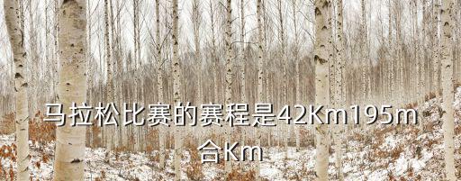 馬拉松比賽的賽程是42Km195m合Km