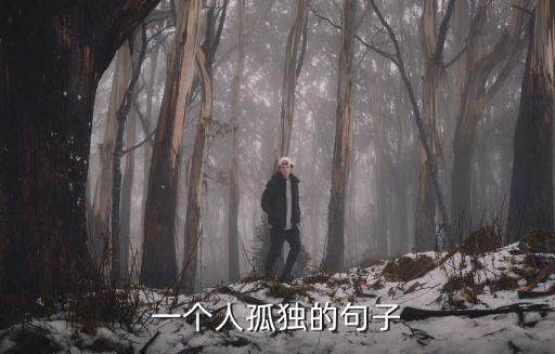 一個(gè)人孤獨(dú)的句子