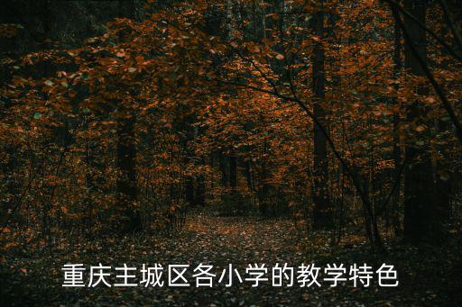 重慶主城區各小學的教學特色
