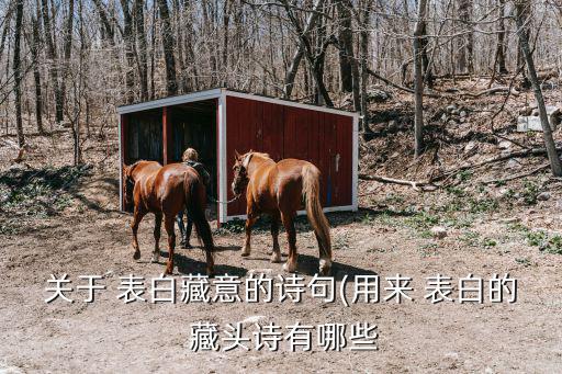 表白的藏頭詩,藏頭詩:不容易看到表白藏頭loem