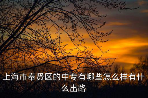 上海市奉賢區的中專有哪些怎么樣有什么出路
