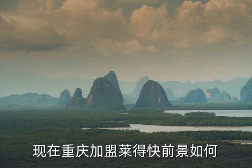 現在重慶加盟萊得快前景如何