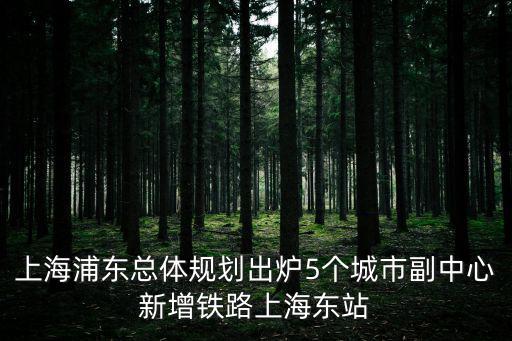 上海浦東總體規劃出爐5個城市副中心新增鐵路上海東站