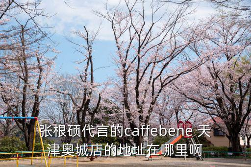天津市奧琳娜服裝有限公司，天津市和平區(qū)南馬路11號(hào)麥購(gòu)國(guó)際大廈703室是什么公司