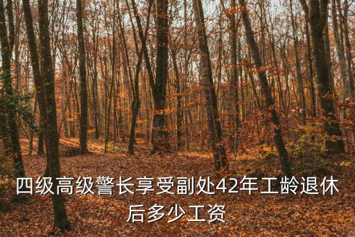 四級高級警長享受副處42年工齡退休后多少工資
