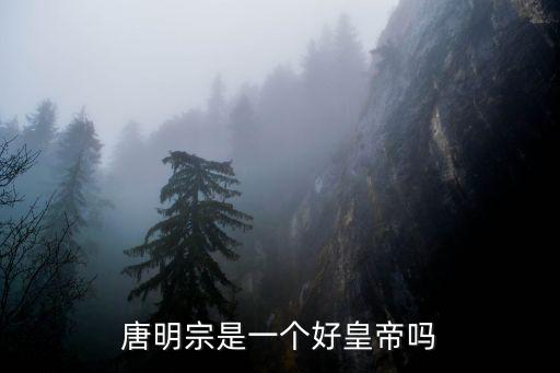 唐明宗是一個好皇帝嗎