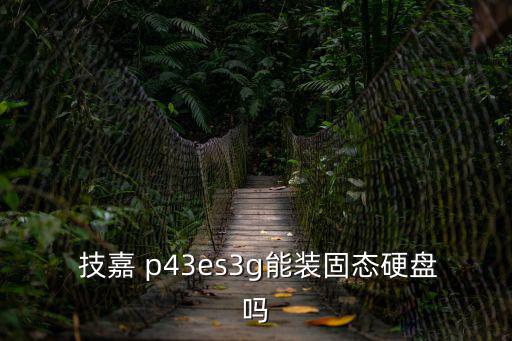 技嘉p43,中低端u中散裝鍍鉻主頻3.2g價格390元