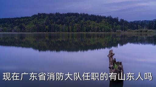 現(xiàn)在廣東省消防大隊(duì)任職的有山東人嗎